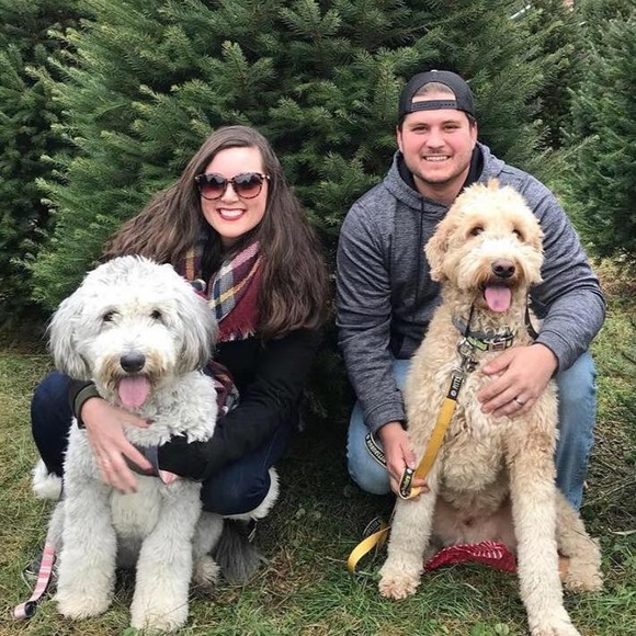 Meet your Posher, Katie - Picture 6 of 7